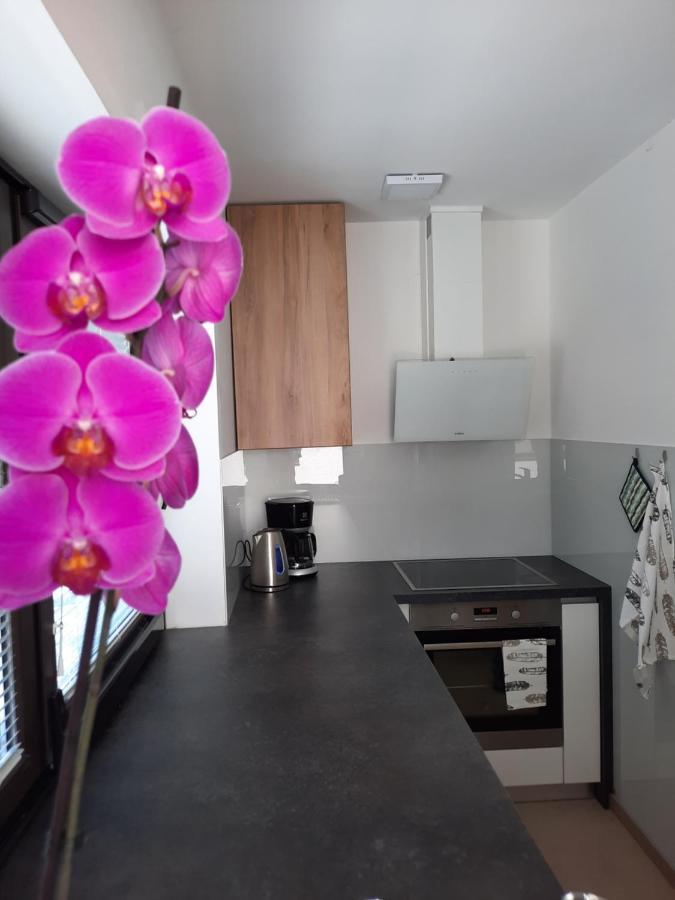 Ferienwohnung Hisa Spuntar Bovec Exterior foto